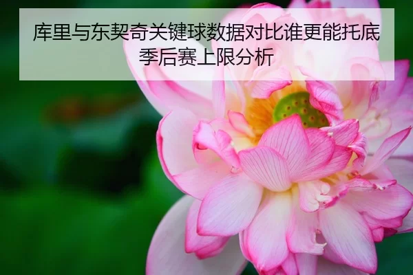 库里与东契奇关键球数据对比谁更能托底季后赛上限分析