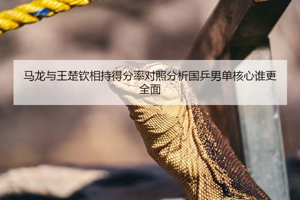 马龙与王楚钦相持得分率对照分析国乒男单核心谁更全面