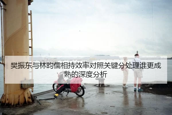 樊振东与林昀儒相持效率对照关键分处理谁更成熟的深度分析