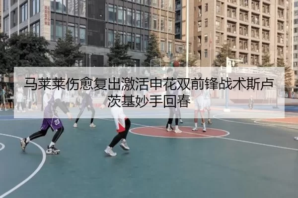 马莱莱伤愈复出激活申花双前锋战术斯卢茨基妙手回春