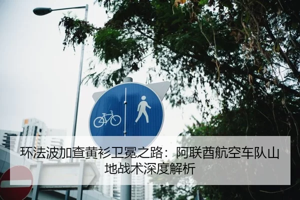 环法波加查黄衫卫冕之路：阿联酋航空车队山地战术深度解析