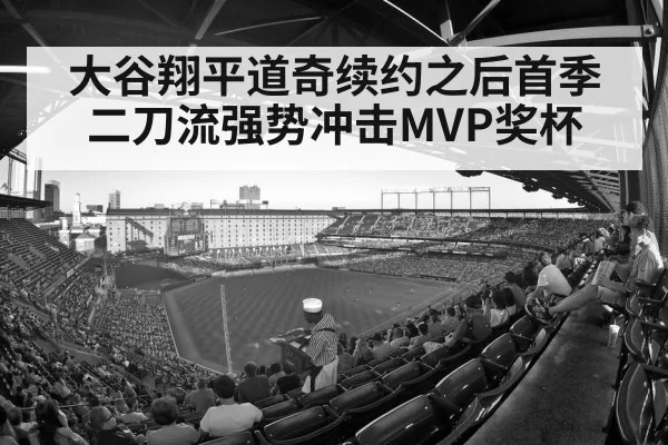 baseball stadium crowd